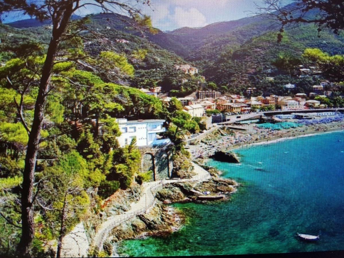 Albergo Lungomare Бонасола Екстериор снимка